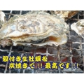 [B]播州室津港産　殻付き生牡蠣